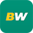 BetWinner brand mark